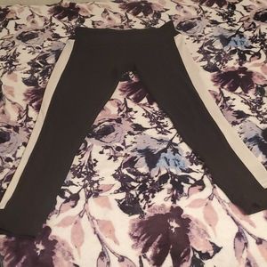 Starter dri-star authentic.